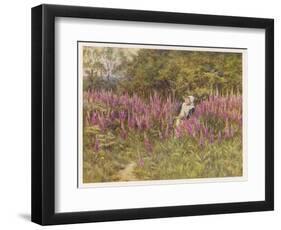 Girl Gathering Sticks in Kent Walks Through a Mass of Foxgloves-Helen Allingham-Framed Art Print