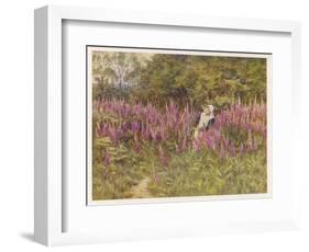 Girl Gathering Sticks in Kent Walks Through a Mass of Foxgloves-Helen Allingham-Framed Art Print