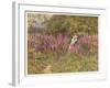 Girl Gathering Sticks in Kent Walks Through a Mass of Foxgloves-Helen Allingham-Framed Art Print