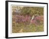 Girl Gathering Sticks in Kent Walks Through a Mass of Foxgloves-Helen Allingham-Framed Art Print