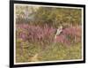 Girl Gathering Sticks in Kent Walks Through a Mass of Foxgloves-Helen Allingham-Framed Art Print