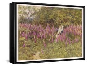 Girl Gathering Sticks in Kent Walks Through a Mass of Foxgloves-Helen Allingham-Framed Stretched Canvas