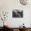 Girl Gazing Pensively Through Pane of Her Apartment Window, Grimly Reflects Image of Berlin Wall-Paul Schutzer-Photographic Print displayed on a wall