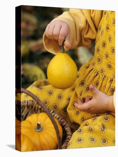 Girl Holding a Baby Pumpkin-Alena Hrbkova-Stretched Canvas