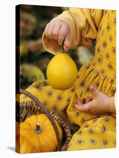 Girl Holding a Baby Pumpkin-Alena Hrbkova-Stretched Canvas