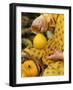 Girl Holding a Baby Pumpkin-Alena Hrbkova-Framed Photographic Print