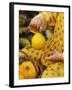 Girl Holding a Baby Pumpkin-Alena Hrbkova-Framed Photographic Print