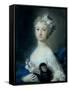 Girl Holding a Monkey-Carriera Rosalba-Framed Stretched Canvas
