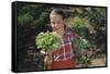 Girl Holding Head of Lettuce in Garden-William P. Gottlieb-Framed Stretched Canvas