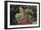 Girl Holding Head of Lettuce in Garden-William P. Gottlieb-Framed Photographic Print