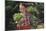 Girl Holding Head of Lettuce in Garden-William P. Gottlieb-Mounted Photographic Print