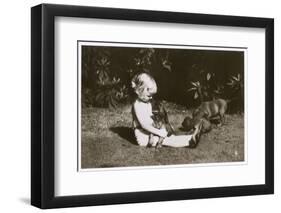 Girl in a Garden with Irish Setter Puppies-null-Framed Photographic Print