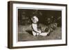 Girl in a Garden with Irish Setter Puppies-null-Framed Photographic Print