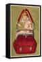 Girl in a Handbag Looking in a Mirror-null-Framed Stretched Canvas