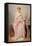 Girl in a Pink Dress-Charles Chaplin-Framed Stretched Canvas