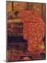 Girl in a Red Kimono-Georg-Hendrik Breitner-Mounted Giclee Print