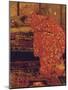 Girl in a Red Kimono-Georg-Hendrik Breitner-Mounted Giclee Print