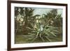 Girl in Agave-null-Framed Premium Giclee Print