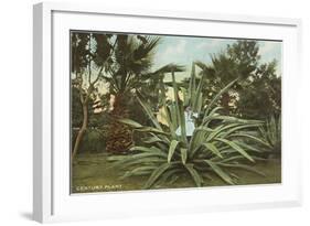 Girl in Agave-null-Framed Art Print