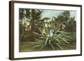 Girl in Agave-null-Framed Art Print