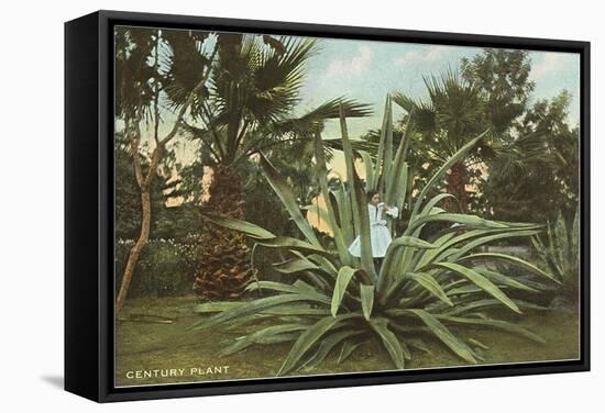 Girl in Agave-null-Framed Stretched Canvas