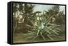 Girl in Agave-null-Framed Stretched Canvas