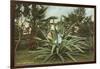 Girl in Agave-null-Framed Art Print