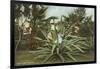 Girl in Agave-null-Framed Art Print