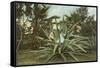 Girl in Agave-null-Framed Stretched Canvas