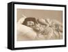 Girl in Bed with Cat-null-Framed Stretched Canvas