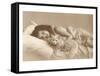 Girl in Bed with Cat-null-Framed Stretched Canvas