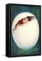 Girl in Cracked Egg-null-Framed Stretched Canvas