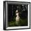 Girl in Fairy Forest-George Mayer-Framed Premium Photographic Print