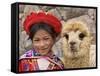 Girl in Native Dress with Baby Alpaca, Sacsayhuaman Inca Ruins, Cusco, Peru-Dennis Kirkland-Framed Stretched Canvas