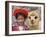 Girl in Native Dress with Baby Alpaca, Sacsayhuaman Inca Ruins, Cusco, Peru-Dennis Kirkland-Framed Photographic Print