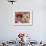 Girl in Native Dress with Baby Alpaca, Sacsayhuaman Inca Ruins, Cusco, Peru-Dennis Kirkland-Framed Photographic Print displayed on a wall