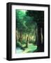 Girl in the Forest-Kyo Nakayama-Framed Giclee Print