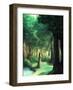 Girl in the Forest-Kyo Nakayama-Framed Giclee Print