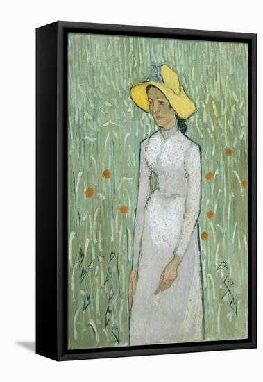 Girl in White, 1890-Vincent van Gogh-Framed Stretched Canvas