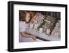 Girl Looking at Seafood Display-William P. Gottlieb-Framed Photographic Print