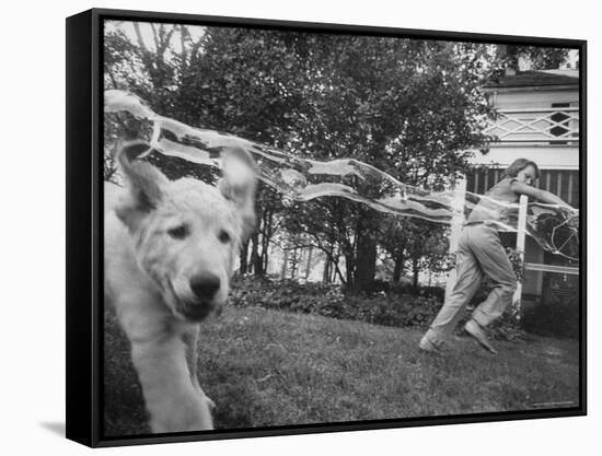 Girl Making Huge Bubbles with Soapy Solution and Large Ring in Yard-Stan Wayman-Framed Stretched Canvas