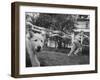 Girl Making Huge Bubbles with Soapy Solution and Large Ring in Yard-Stan Wayman-Framed Photographic Print