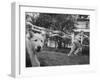 Girl Making Huge Bubbles with Soapy Solution and Large Ring in Yard-Stan Wayman-Framed Photographic Print