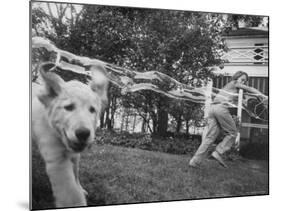 Girl Making Huge Bubbles with Soapy Solution and Large Ring in Yard-Stan Wayman-Mounted Photographic Print