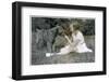 Girl Offering Her Dog a Lollipop-null-Framed Photographic Print