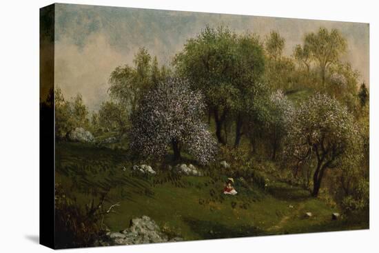 Girl on a Hillside, Apple Blossoms, 1874-Martin Johnson Heade-Stretched Canvas