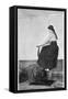 Girl on an Exercise Bike in the Gymnasium of the Titanic-null-Framed Stretched Canvas