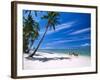 Girl on Beach and Coconut Palm Trees, Tambua Sands Resort, Fiji-David Wall-Framed Photographic Print