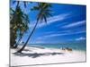 Girl on Beach and Coconut Palm Trees, Tambua Sands Resort, Fiji-David Wall-Mounted Photographic Print