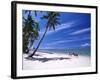 Girl on Beach with Coconut Palm Trees, Tambua Sands Resort, Coral Coast, Fiji-David Wall-Framed Photographic Print